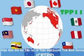 [An Giang] Tập huấn Đánh giá tác động từ CPTPP và các FTA mới của Việt Nam – Cơ hội và thách thức đối với doanh nghiệp An Giang