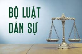 Hội thảo: Tổng kết thực tiễn thi hành và góp ý hoàn thiện bộ luật dân sự 2005