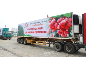 Doanh nghiệp phòng tránh rủi ro nào khi giao dịch điện tử?