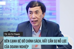 TS. Võ Trí Thành, Trọng tài viên VIAC: Bên cạnh bệ đỡ chính sách, rất cần sự nỗ lực của doanh nghiệp