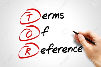 Summaries and Issues in the ICC Terms of Reference: The Right Level of Case Management