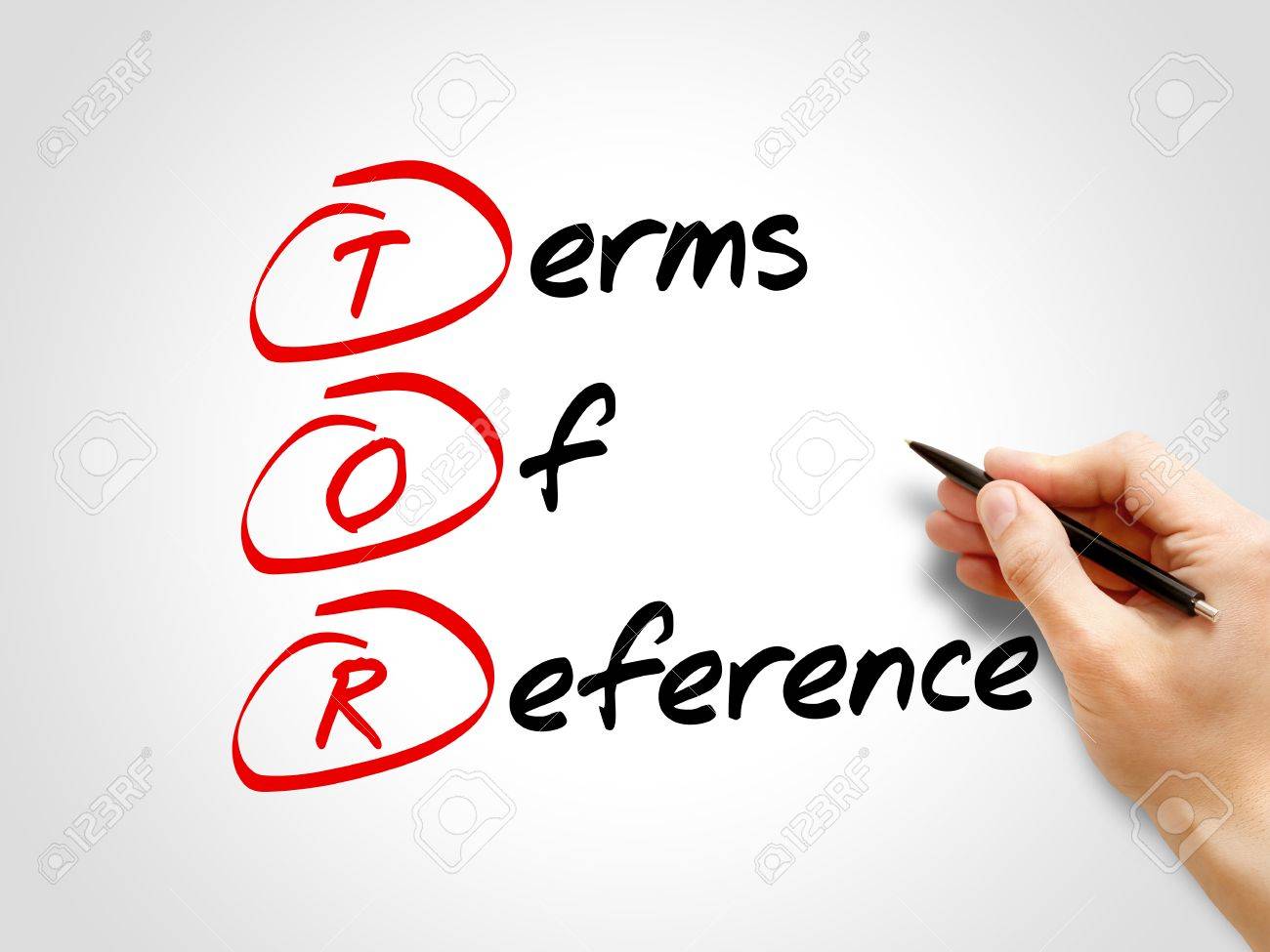 Summaries and Issues in the ICC Terms of Reference: The Right Level of Case Management Summaries and Issues in the ICC Terms of Reference: The Right Level of Case Management